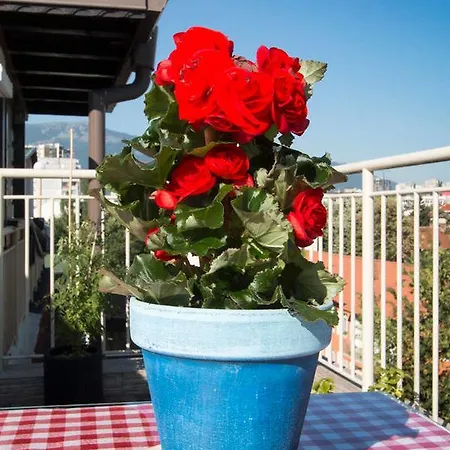 Apartamento Rooftop Terrace & Studio Next To The Center